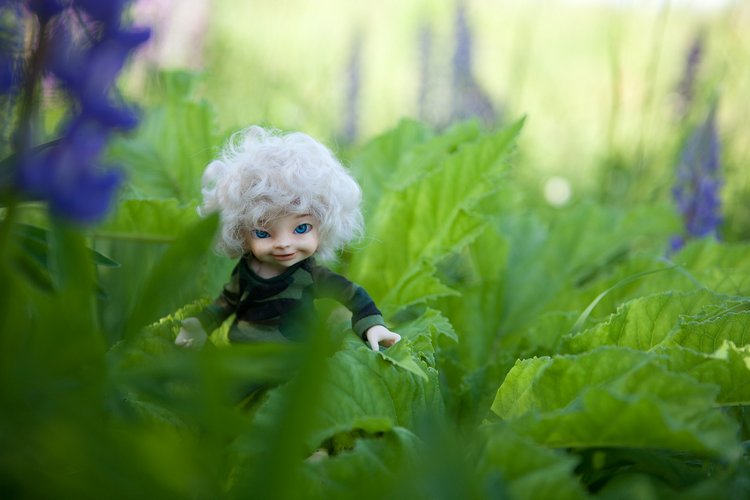 Эльфики в Гвоздёво | Бэйбики Эльфики в Гвоздёво — Куклы Fairyland (ФэйриЛэнд): BJD (БЖД) (фото 2)