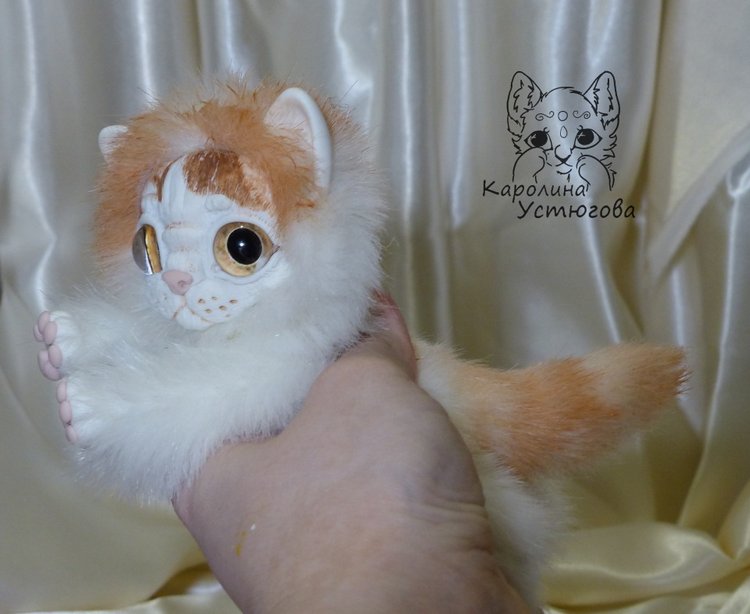 Обыкновенный котенок и его день