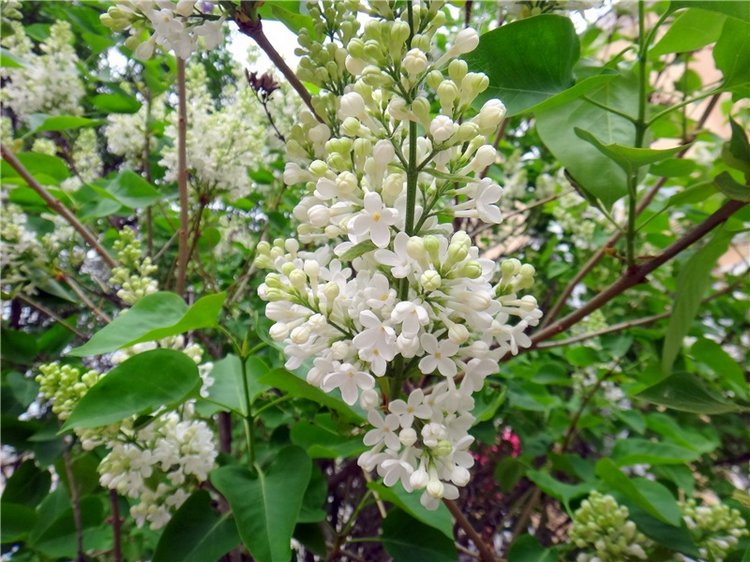 Милый мой город. Прогулка по Твери, продолжение