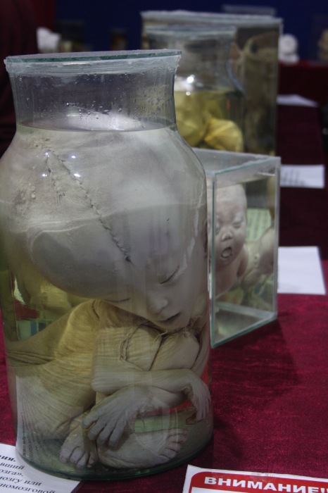 Псков: Петербургская Кунсткамера у нас в гостях. СТРОГО 18 +