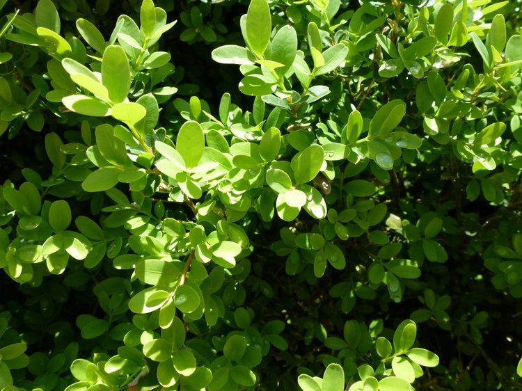 Сочи-Адлер: Южное Взморье - виртуальное путешествие по территории санатория