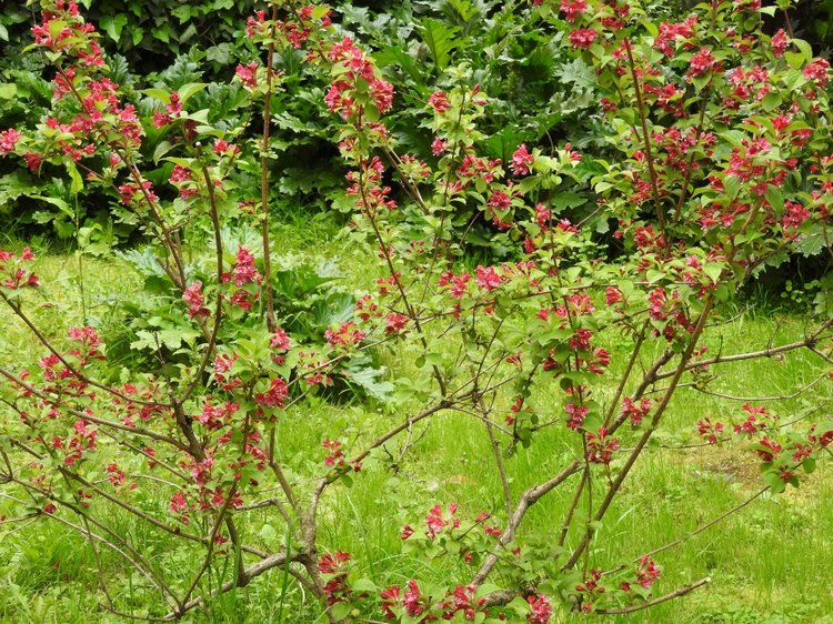 Сочи-Адлер: Южное Взморье - Мои любимые куколки на отдыхе