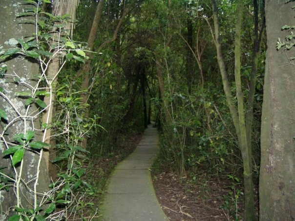 Увлекательное путешествие по Новой Зеландии