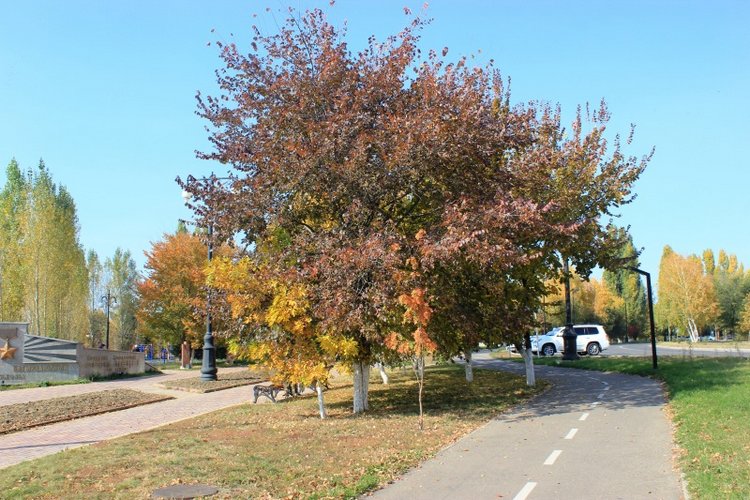 Осень моих вихтелят 2 — Куклы Rosemarie Anna Muller (Мюллер): Вихтели (Wichtel)