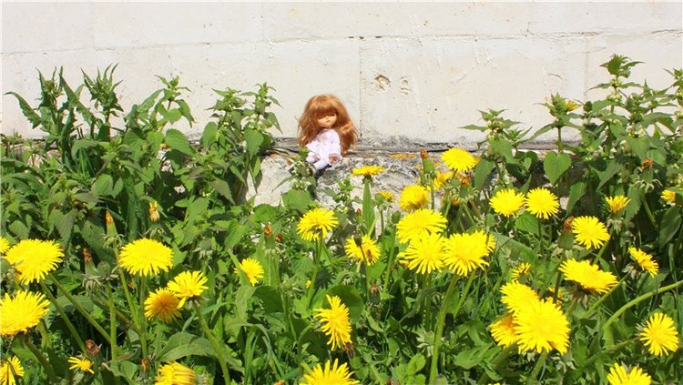 Путешествие Софи в Старицу, заключительная часть. Lati HoneyBee New Mystic Sophie