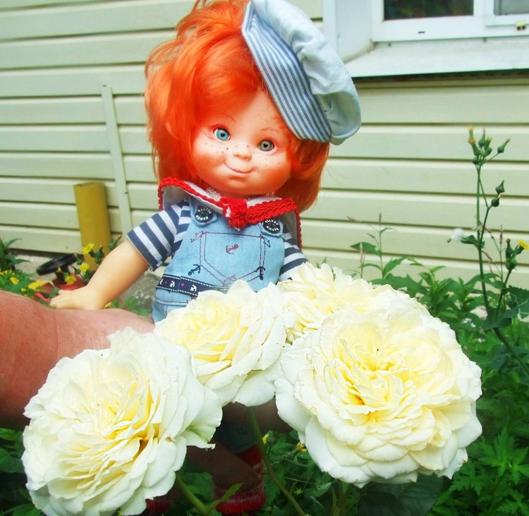 От сердца и почек дарю вам цветочек | Бэйбики От сердца и почек дарю вам цветочек (фото 6)