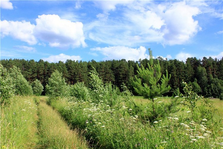 Путешествие Эли на красивый берег реки Волги
