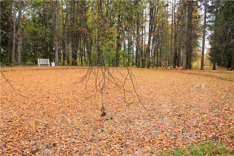 Золотая Осень в Берново с Имани. Mini Imani от Kaye Wiggs