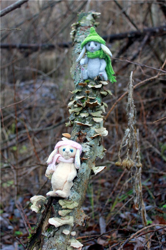 Братья Зайкины на Водопаде