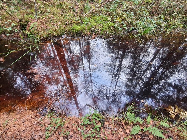 Путешествие по Святым местам Тверской области