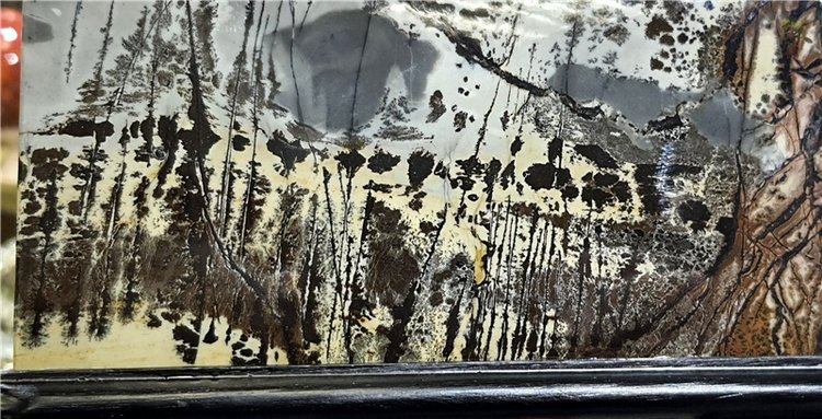 Выставка "Самоцветы Мира" в Твери, продолжение