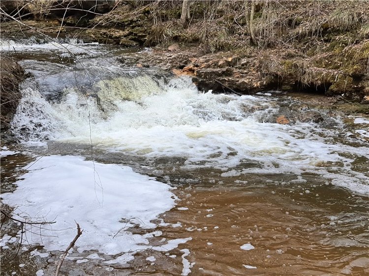 Путешествие Имани в ПанИку