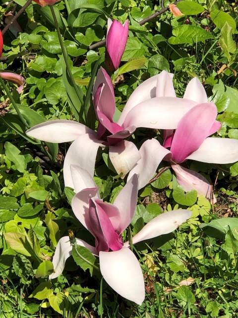 Тони Старк: приключения без брони. Был месяц май, половина вторая