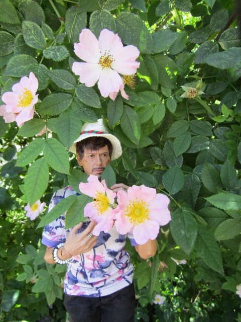 Тони Старк: приключения без брони. И снова Аптекарский огород | Бэйбики Тони Старк: приключения без брони. И снова Аптекарский огород