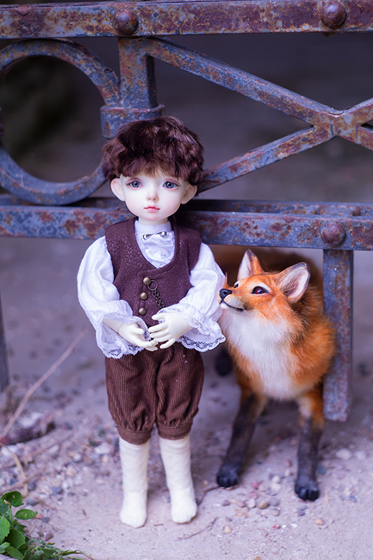 Сказки Волшебного Леса. Часть 1