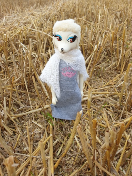 Просто Питина — Коллекционные куклы разных авторов (Разное): редкие бренды