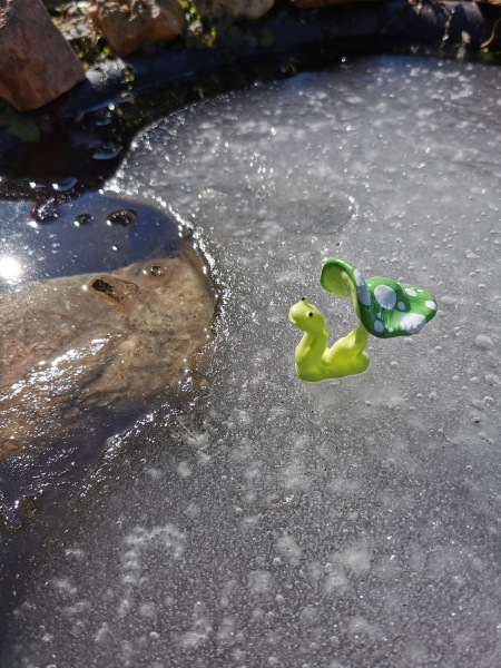 Лягушка Ванда и все-все-все