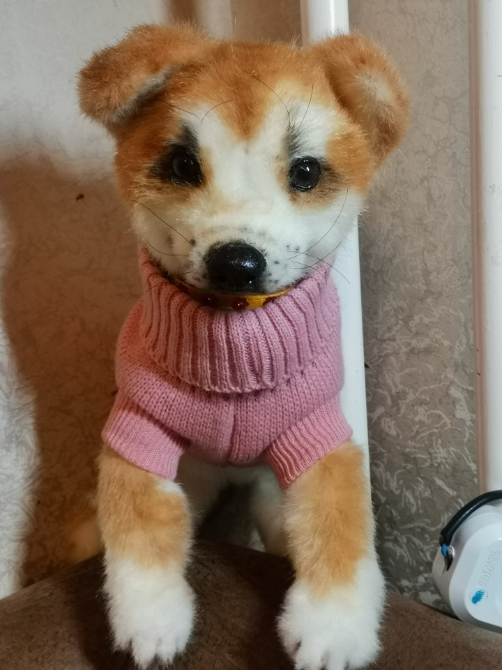 Акито щенок — Игрушки в смешанной технике (мех и глина): Арт (фото 5)