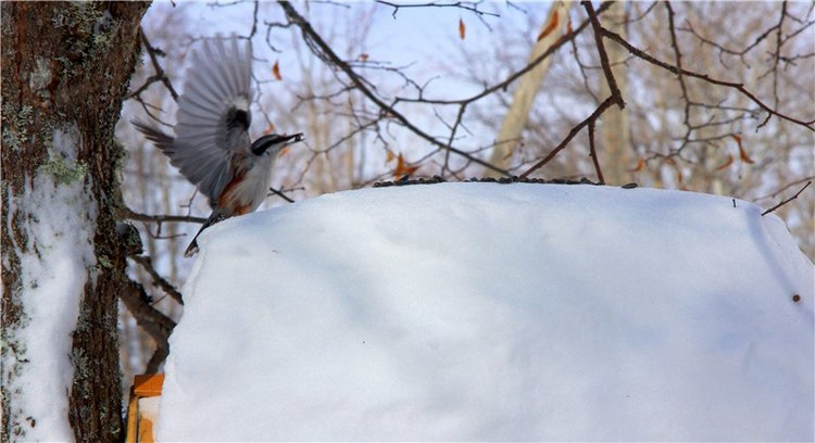 Снежный Март — Туризм и путешествия: фотоотчеты из поездок