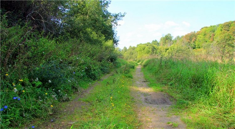 Старицкая Швейцария. Путешествие с Сашей, продолжение. Уникальная кукла от Сильвии Наттерер