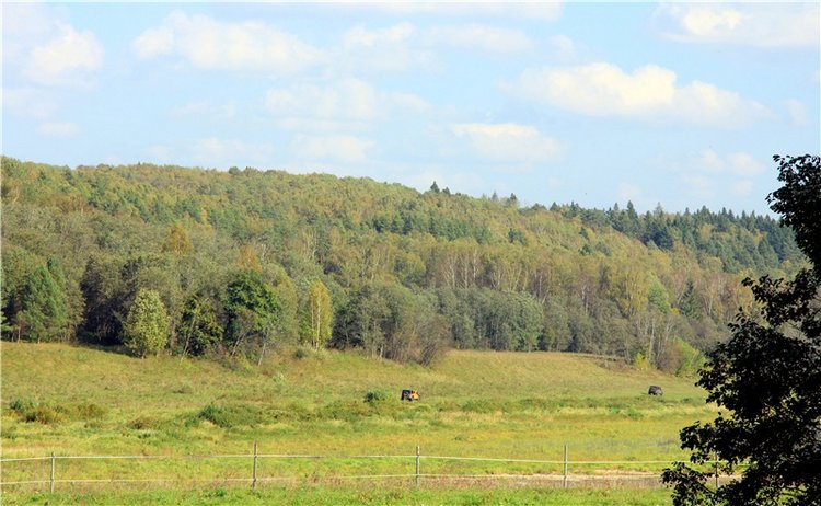 Нийя. Воспоминание об осени, Чукавино, Эко-Лэнд