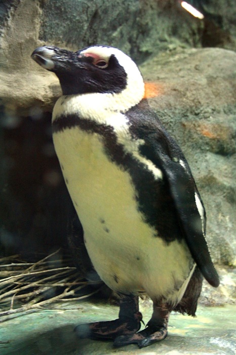 Московские каникулы. Часть 1