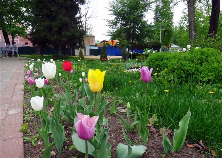 Милый мой город. Прогулка по Твери, заключительная часть