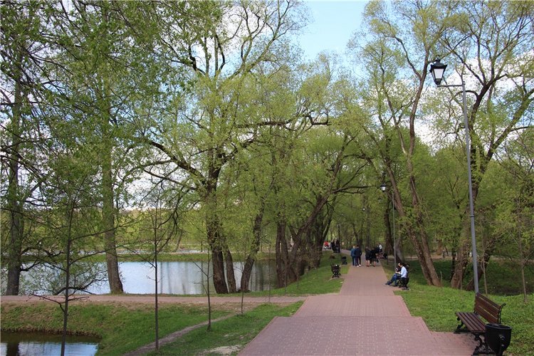 Один раз в год сады цветут (фото 9)