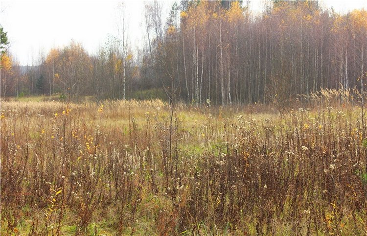 Гришутка — Винтажные куклы ГДР (Немки): Бигги