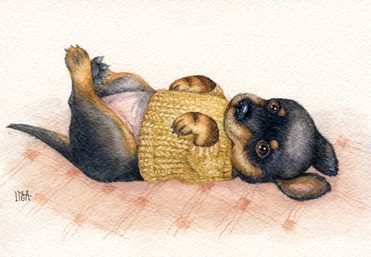 Предновогодние денёчки! Улыбнёмся вместе! Смешные таксы Инги smG