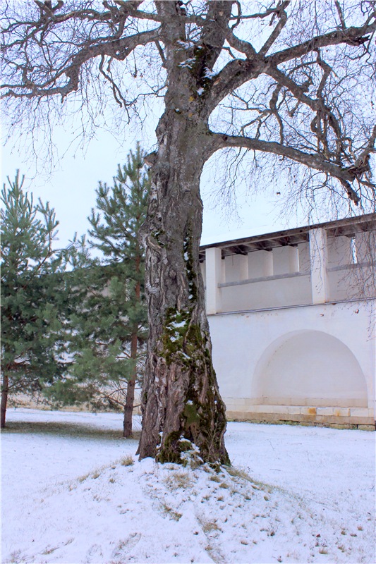 Рождественская Старица — Туризм и путешествия: фотоотчеты из поездок