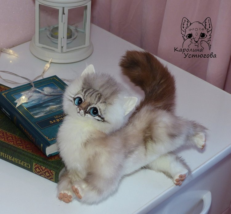 Котенок породы : Невский Маскарадный, окрас сил тэбби пойнт