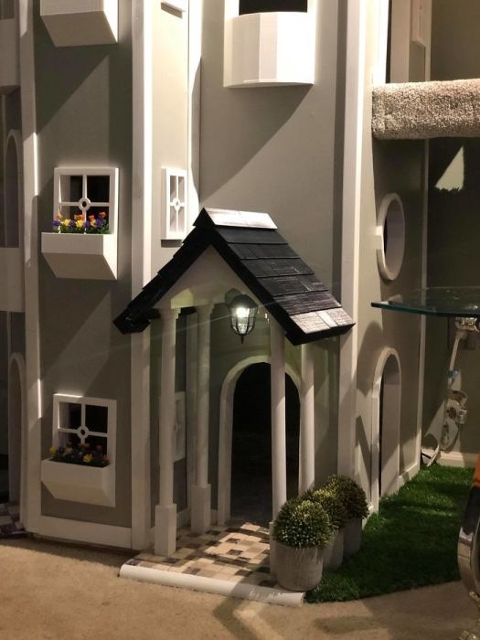 Кошкин дом в доме человека (фото 8)