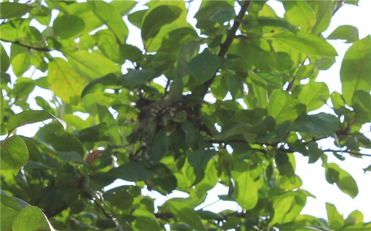 Сентябрьское путешествие в Старицу. Старицкий Свято-Успенский Монастырь (фото 9)