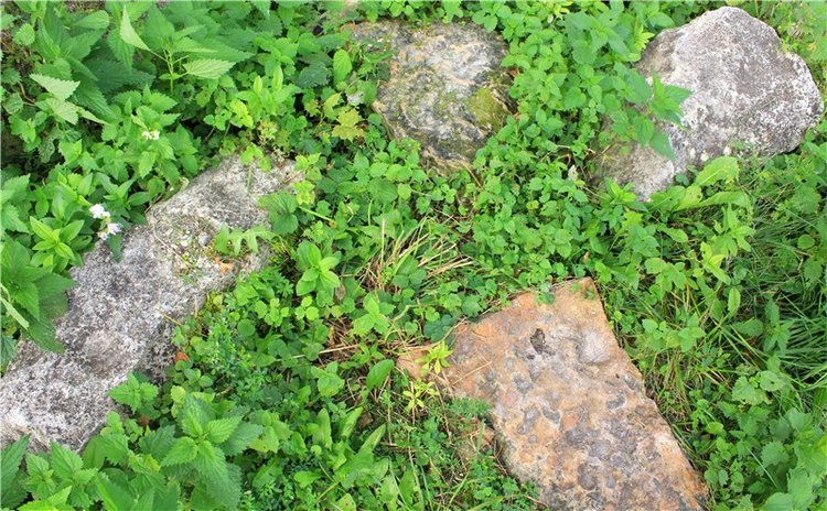 Сентябрьское путешествие в Старицу, заключительная часть (фото 8)