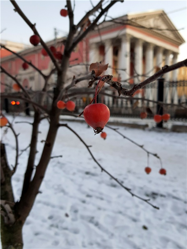 Декабрьская Тверь — Туризм и путешествия: фотоотчеты из поездок