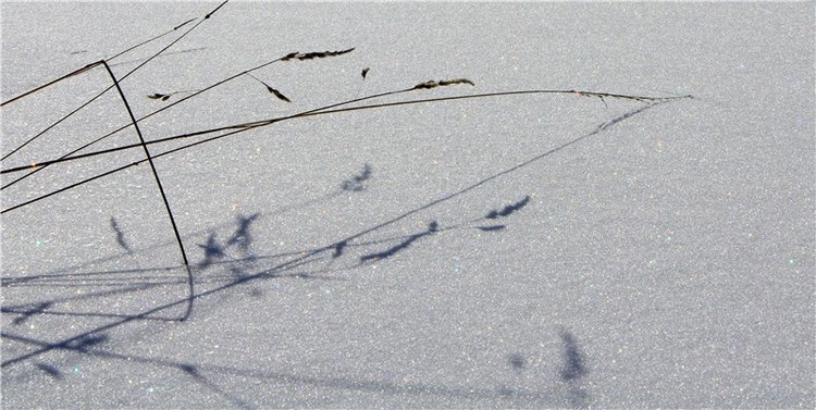 Снежный Март — Туризм и путешествия: фотоотчеты из поездок