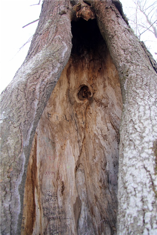 Апрельский день в Василёво, заключительная часть