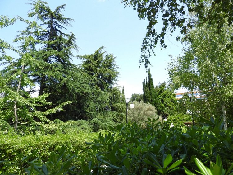 Краснодарский Край, Сочи-Адлер, Санаторий «Южное Взморье»