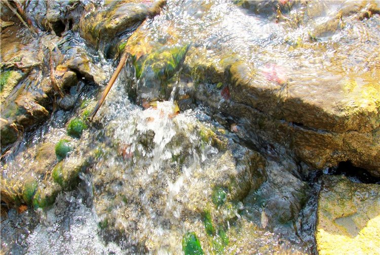 Старицкая Швейцария. Путешествие с Сашей, продолжение. Уникальная кукла от Сильвии Наттерер