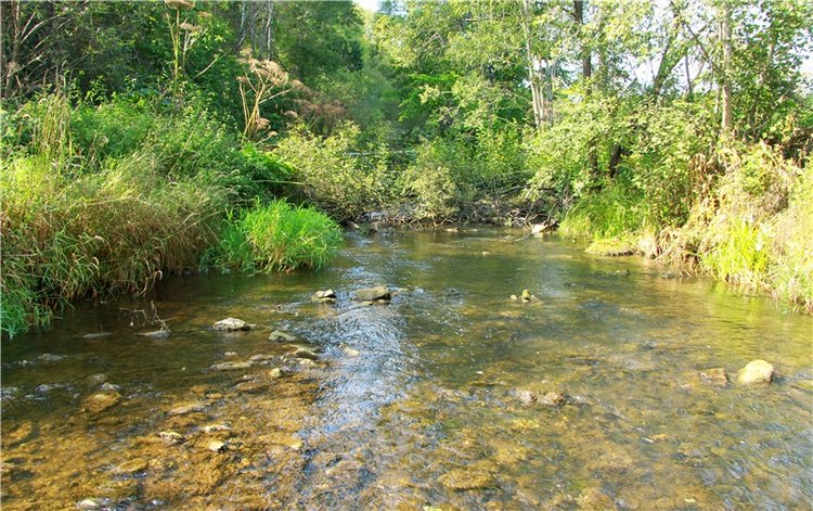 Старицкая Швейцария. Путешествие с Сашей, продолжение. Уникальная кукла от Сильвии Наттерер (фото 6)