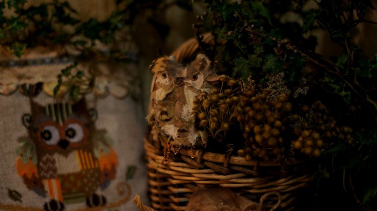 Осенний вечер, продолжение (фото 2)