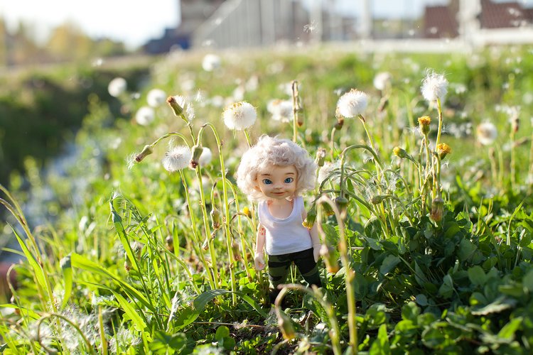 Первая прогулка Мармеладика