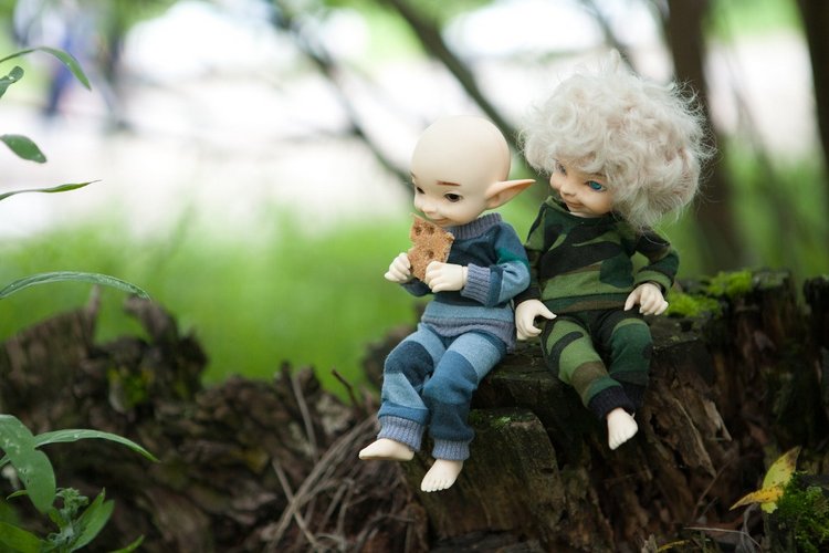 Знакомство с братьями эльфами 2 (фото 8)