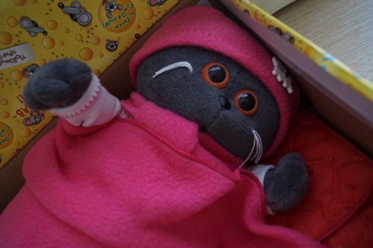 Как Агаша Басика сшила — Кот Басик