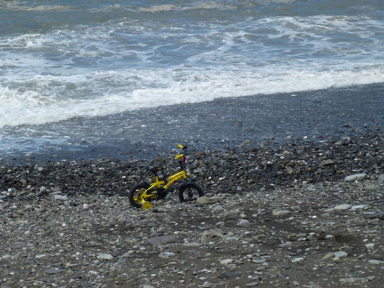 Сочи-Адлер: Южное Взморье - Красоты Черного Моря