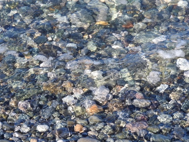 Сочи-Адлер: Южное Взморье - Красоты Черного Моря