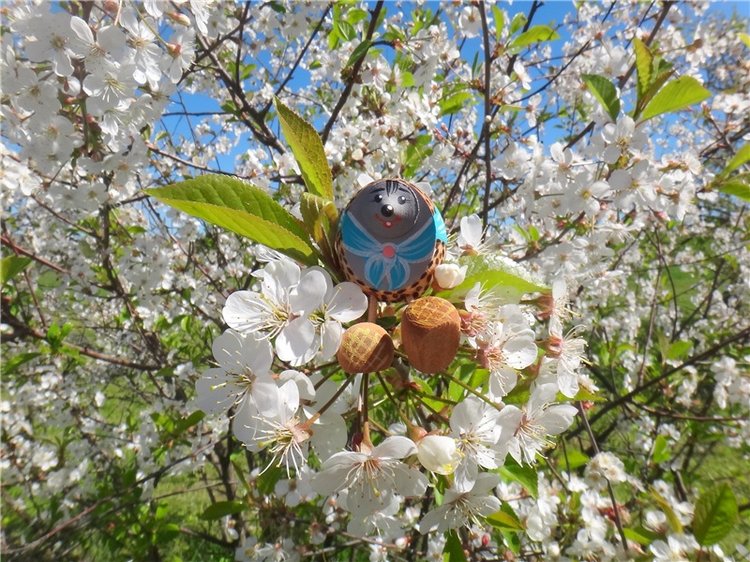 Дивная Весна — Куклы Zwergnase (Цвергназе/Цверги): фото