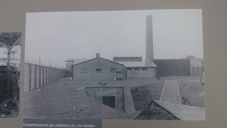 Спасибо Вам за смелость и отвагу, за небо мирное над головой