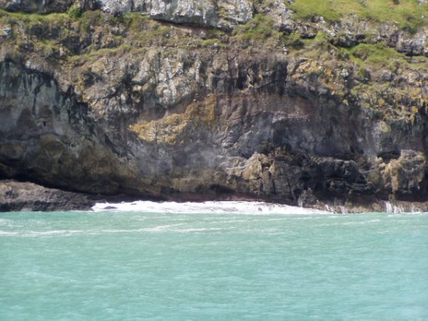 Увлекательное путешествие по Новой Зеландии